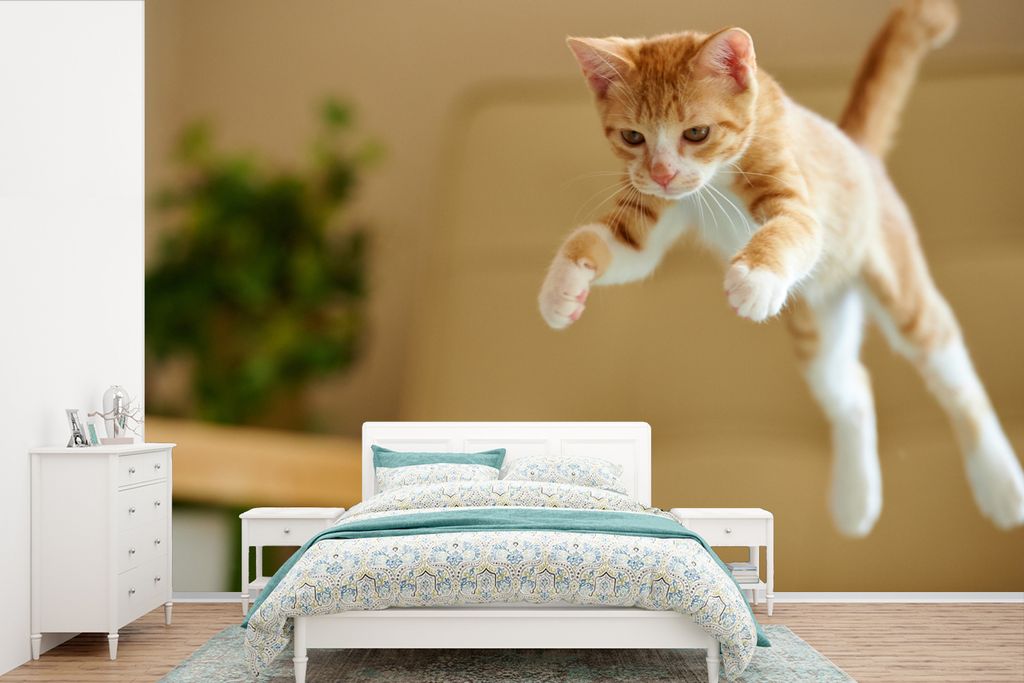 MuchoWow Fototapete für Wohnzimmer oder Schlafzimmer Wandtapete Vinyl Motivtapete Katze - Sprung - Orange - 525x350 cm - Das Hintergrundbild