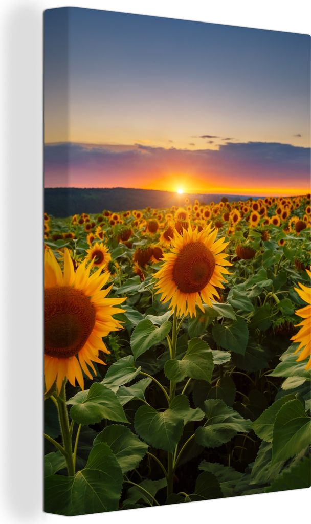 OneMillionCanvasses - Leinwandbilder - 90x140 cm, Blumen - Nacht - Sonnenuntergang - Sonnenblume - Horizont, Wandbilder Kunstdruck Wanddekoration...