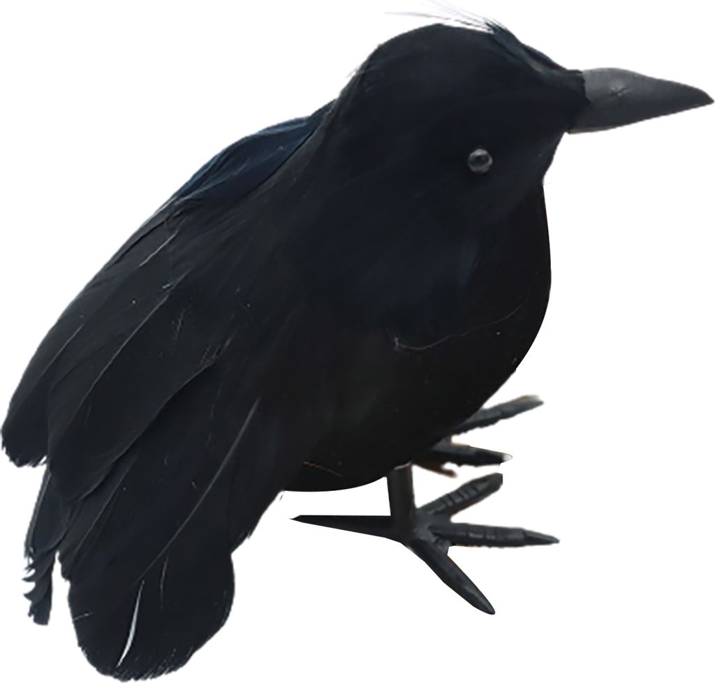 1 Set Federed Crow Statue handgefertigte realistisch aussehende Schaumstoff gefälschte Krähe Ornament InnenpartyNachbildungation-C