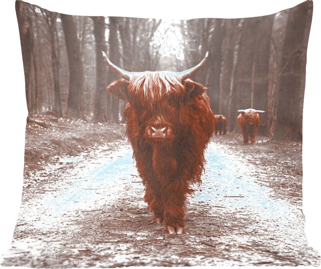 MuchoWow Zierkissen Sofakissen Wohnzimmer Dekokissen 40x40 cm Schottisches Hochlandrind - Wald - Kuh - Tiere - Natur - Foto Kissen - Schlafzimmer...