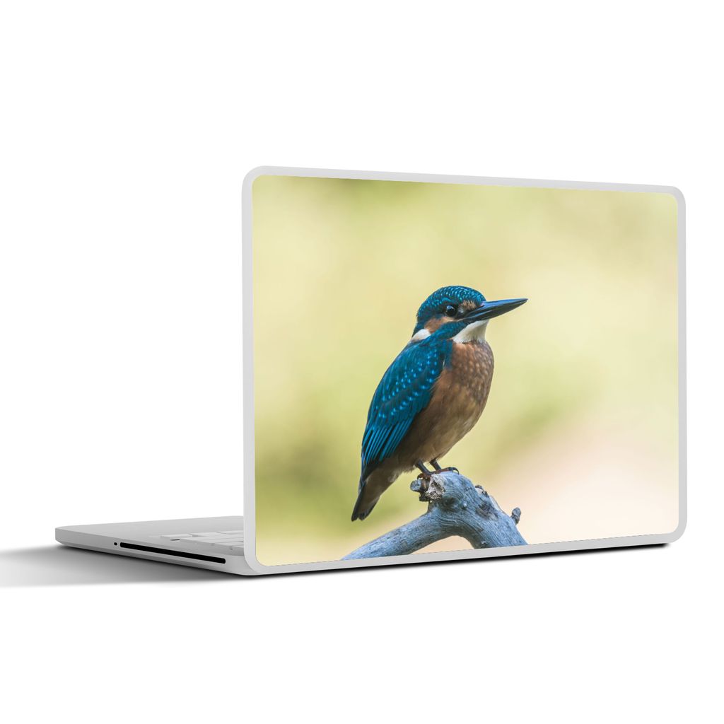 MuchoWow Laptop Aufkleber Sticker Cover Eisvogel - Zweig - Vogel 36.5x27.5 cm - Laptop-Sticker