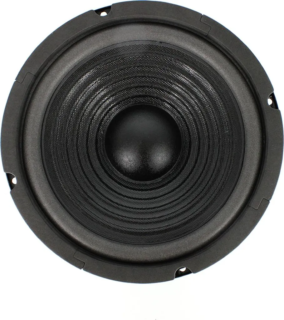 Haut-parleur pour caisson de basse HSP 003 200 mm 200W polyvalent - 2