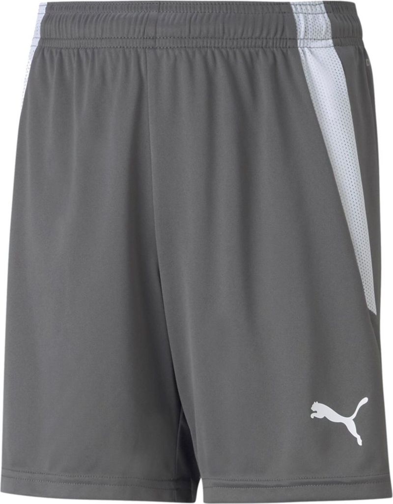 Puma Teamliga Shorts Kinder - Grau