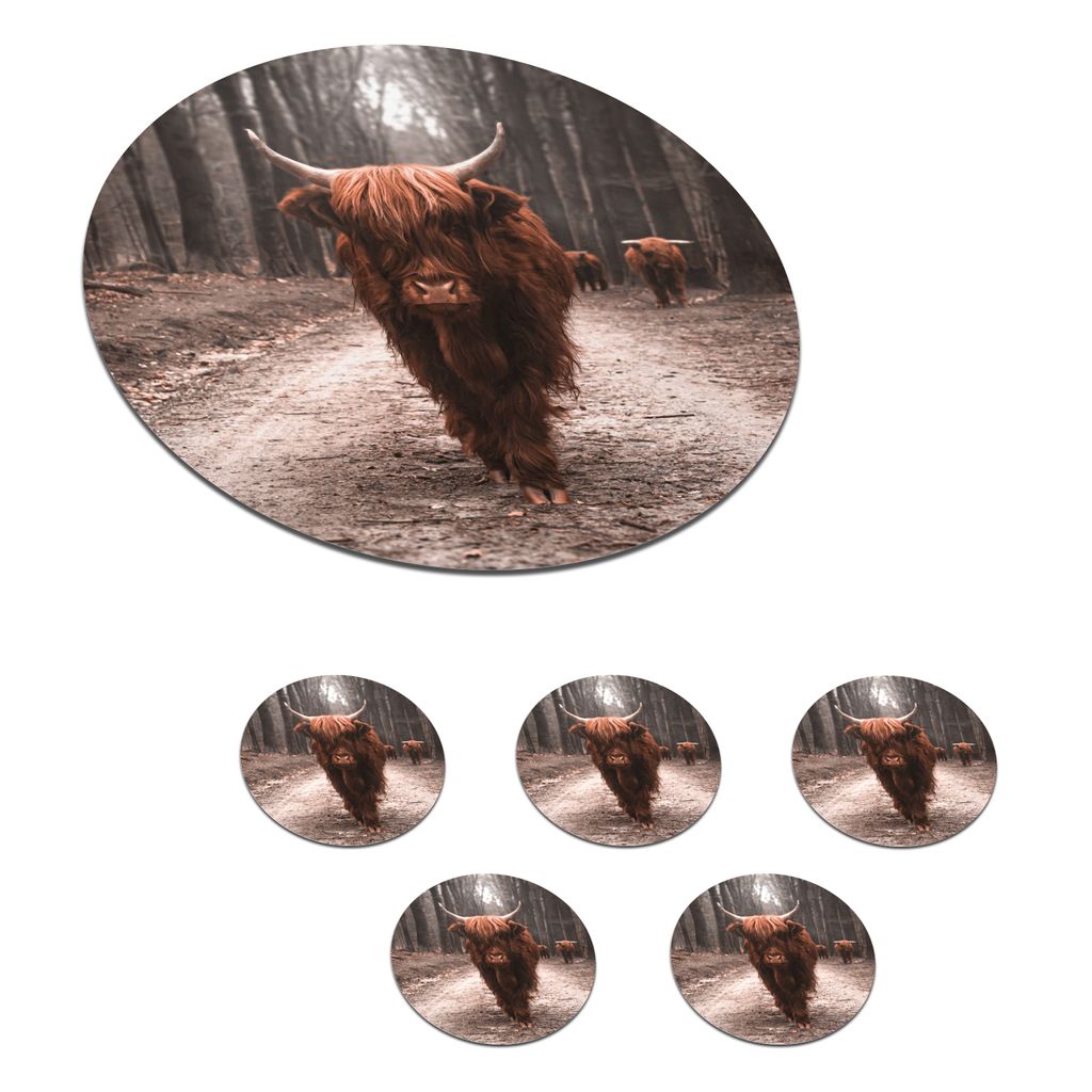 KitchenYeah Glasuntersetzer Rund 6er Set Schottisches Hochlandrind - Wald - Kuh - Tiere - Natur 10x10 cm Untersetzer für Gläser - Getränkeunt...
