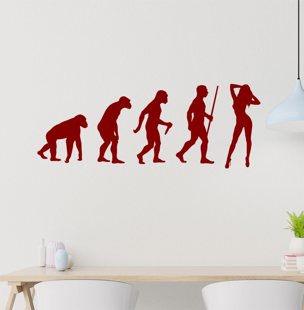Sexy Girl Hot Body Evolution Wandtattoo Wandaufkleber Wall Sticker - Dekoration, Küche, Wohnzimmer, Schlafzimmer, Badezimmer