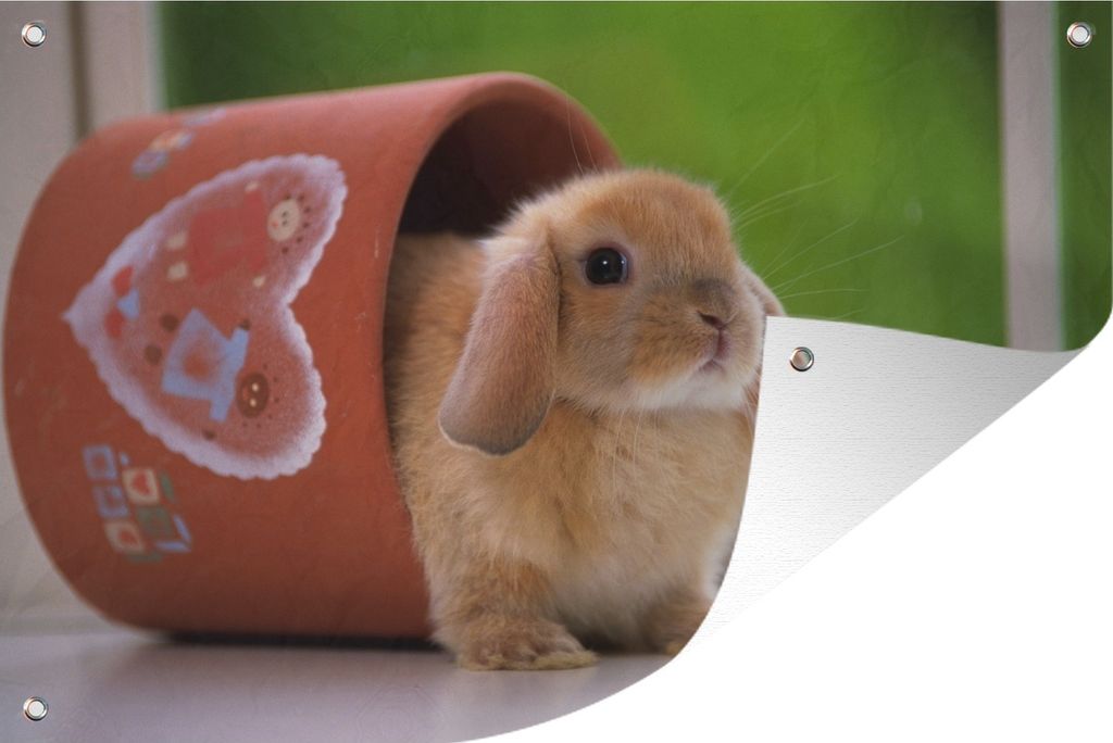 MuchoWow 90x60 cm Outdoor-Poster Gartendeko Sichtschutz Garten Poster für den Garten Babytöpfchen Zwerg im Blumentopf