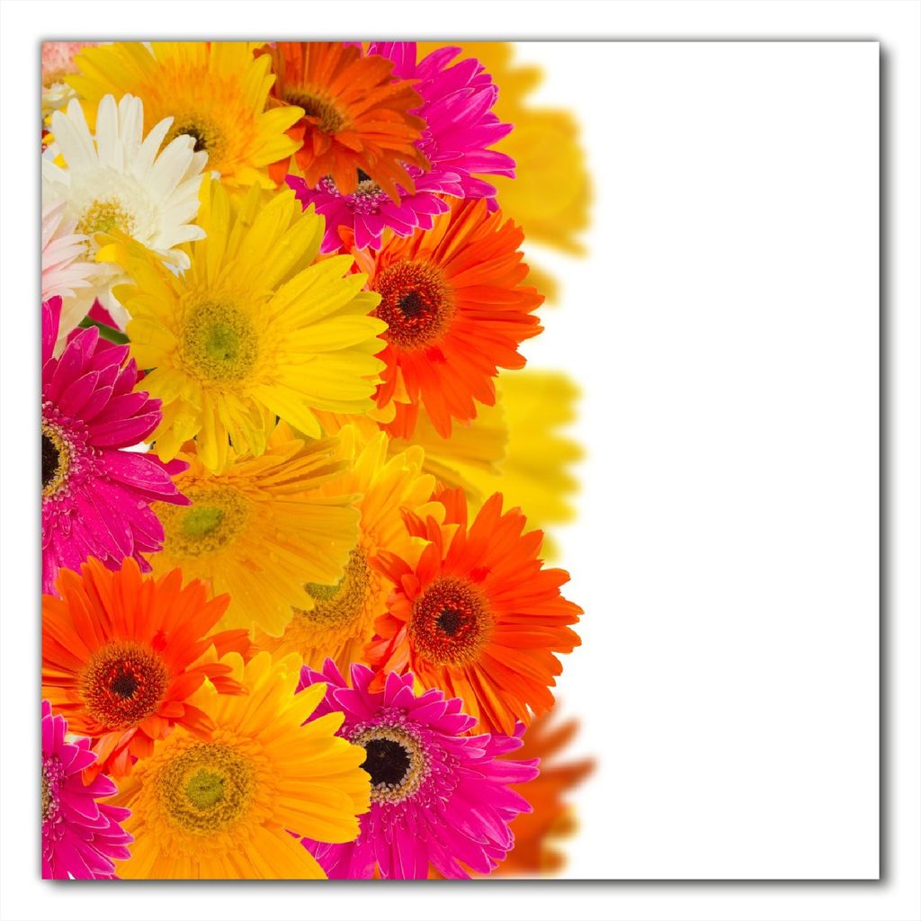Wallario selbstklebende Möbelfolie/ Tischdecke für Innen und Außen, Größe: 90 x 90 cm - Bunte Gerberas - pinke, gelbe, rote und weiße Blüten