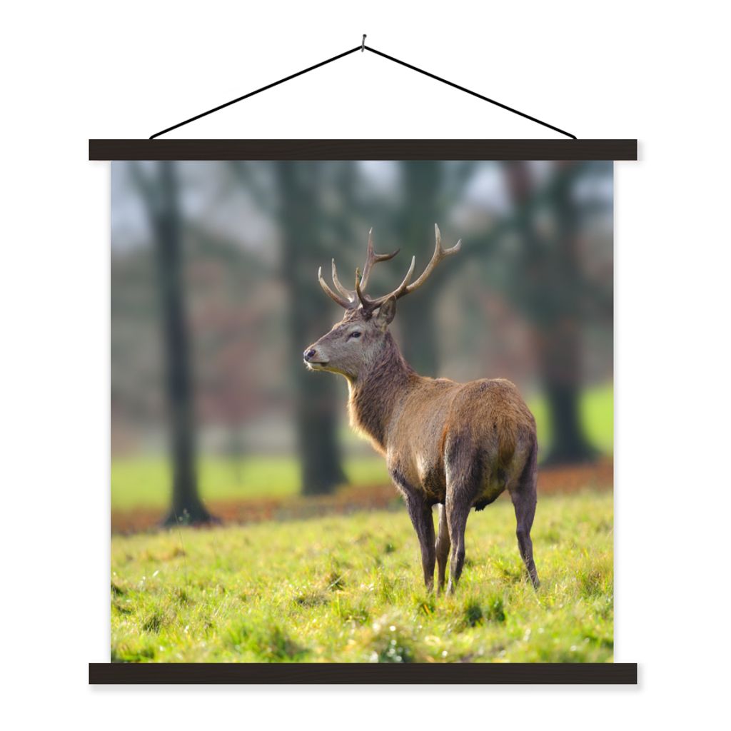MuchoWow Textilposter Rothirsch - Wiese - Grün 40x40 cm mit schwarzem Rahmen - Fotos