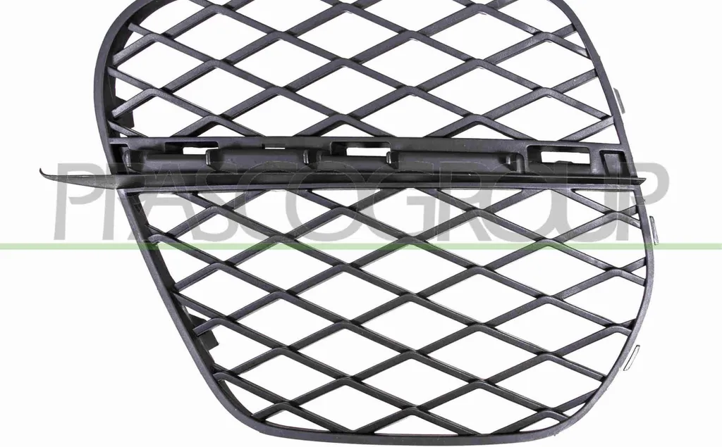 Grille d'aération PRASCO BM8242134 en ABS durable pour BMW X5 E70 Gauche