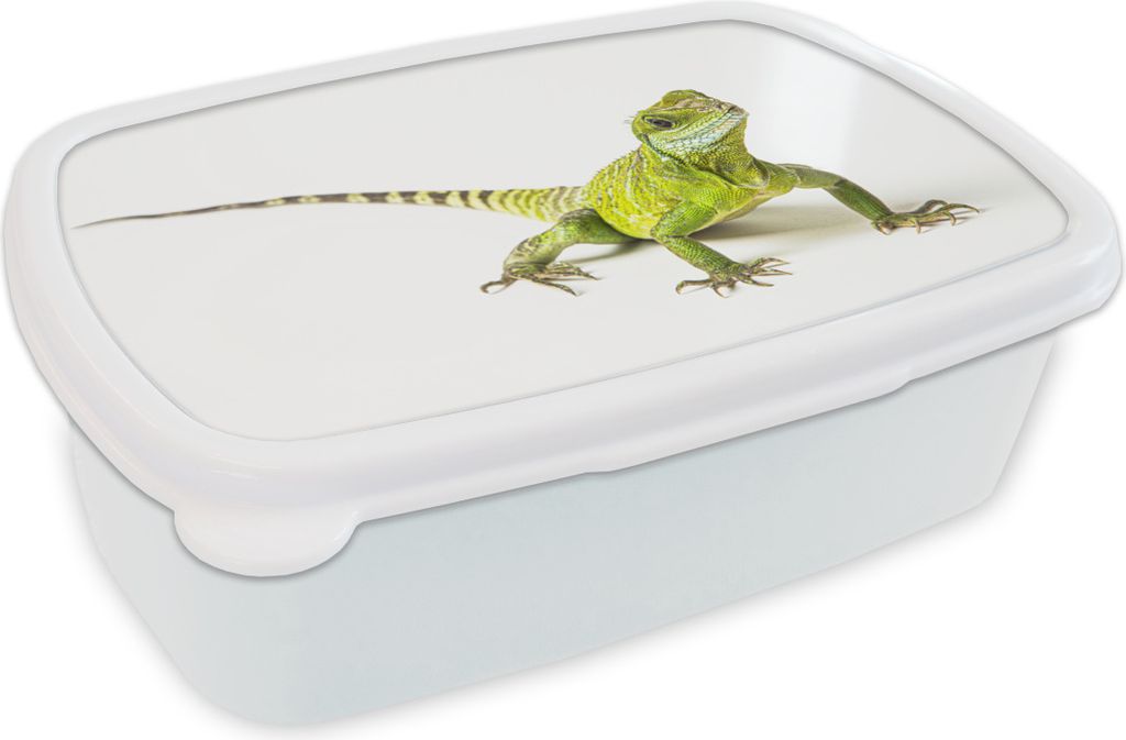 KitchenYeah® Lunchbox Brotzeit Brotdose 17x11 cm Eidechse - Produktbild 