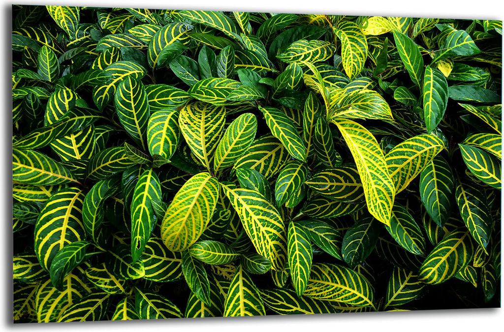 Herdabdeckplatte Glaskeramikkochfeld-Abdeckung Spritzschutz Glas 80x52 Blätter