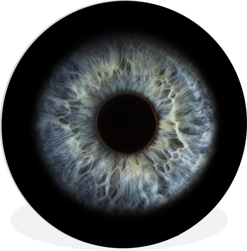 MuchoWow - Schlafzimmer - Bilder - Der Kreis - Kunst für die Wohnung - Plastik - Kunstdruck - Wandbild