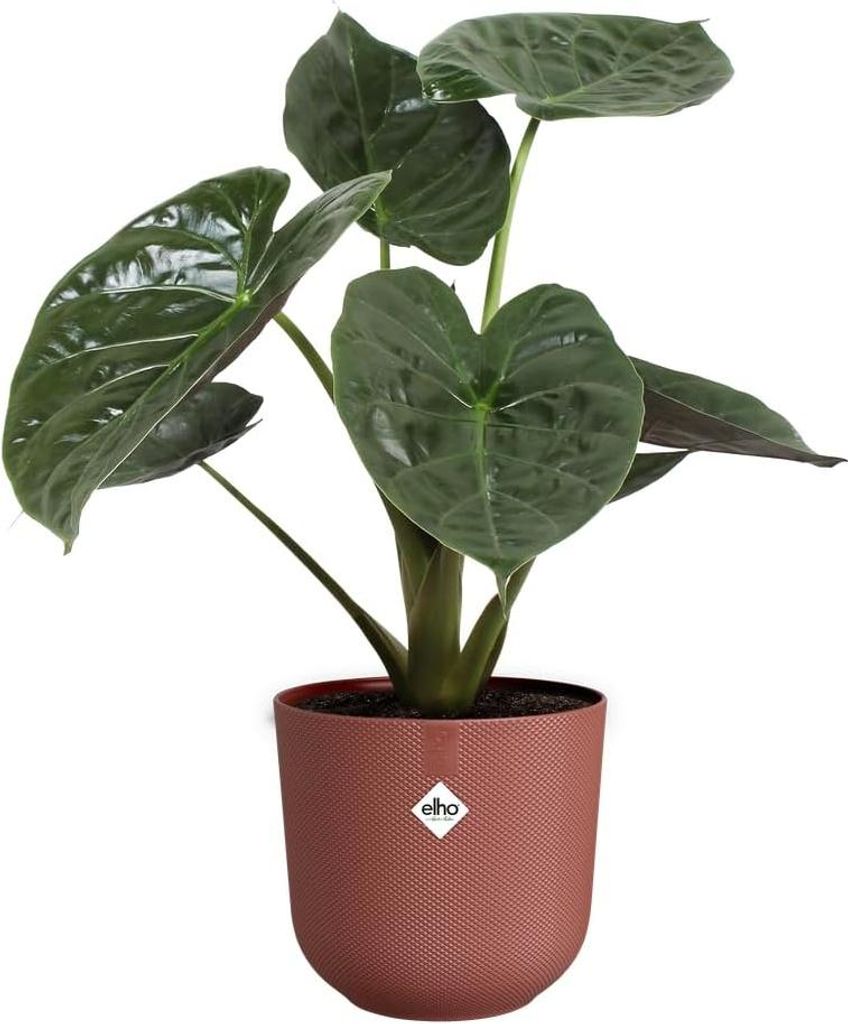 Elho Jazz Rund 26cm - Blumentopf für Innen - Einzigartige Struktur - 100% Recyceltes Plastik - Toskanisch Rot