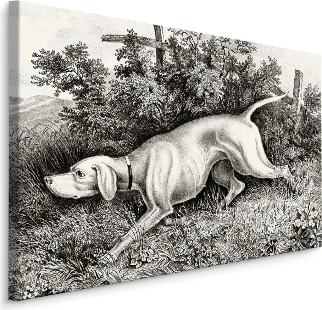 Quadro Cane Caccia 120x80 XXL Stampa su Tela Canvas Decorazione Casa
