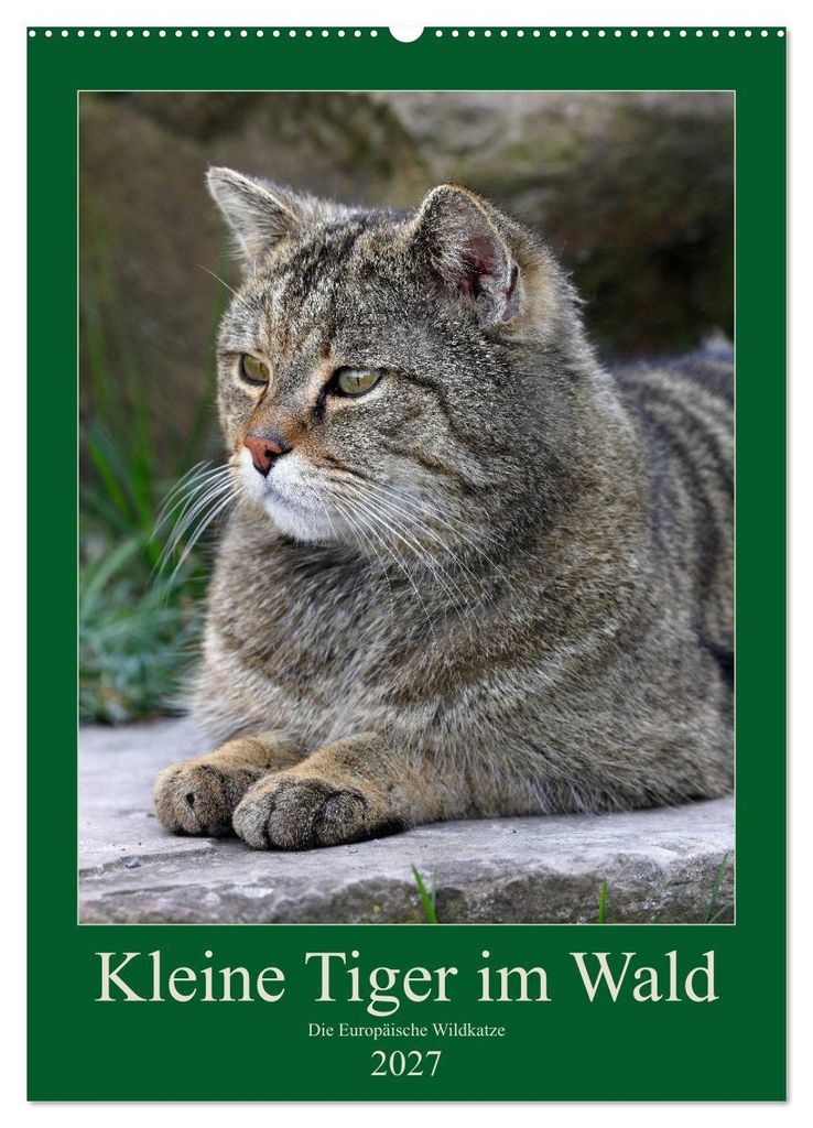 Kleine Tiger im Wald (Wandkalender 2027 DIN A2 hoch), CALVENDO Monatskalender