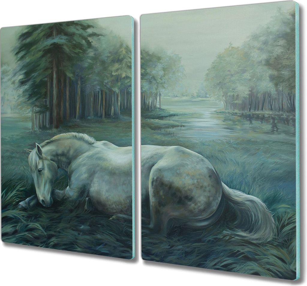 Coloray Herdabdeckplatte 2x30x52 cm Schneidebrett Produktbild 