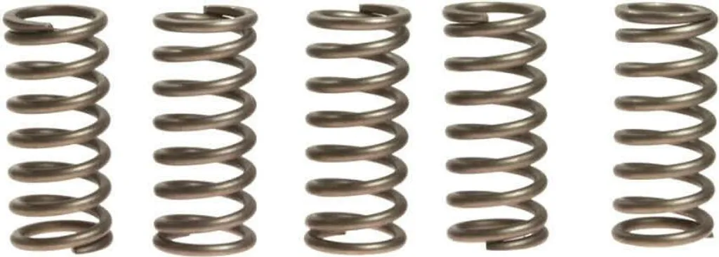 Molle Frizione Rinforzate EBC CSK135 | Kit 6 Pezzi +10% Stiff