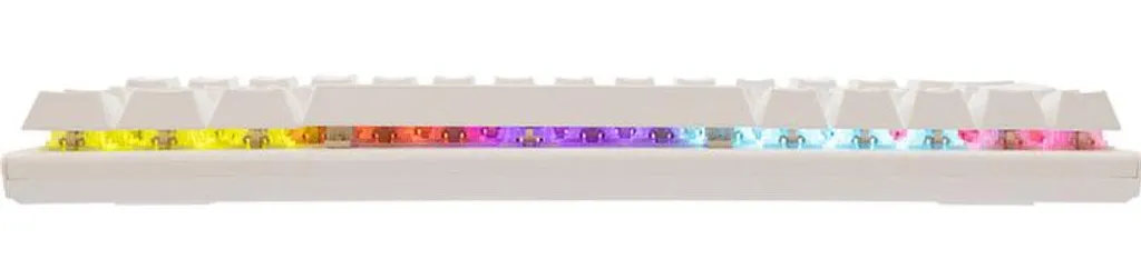 Wakizashi 2 blanc Requin blanc US idéal pour décor zen japonais