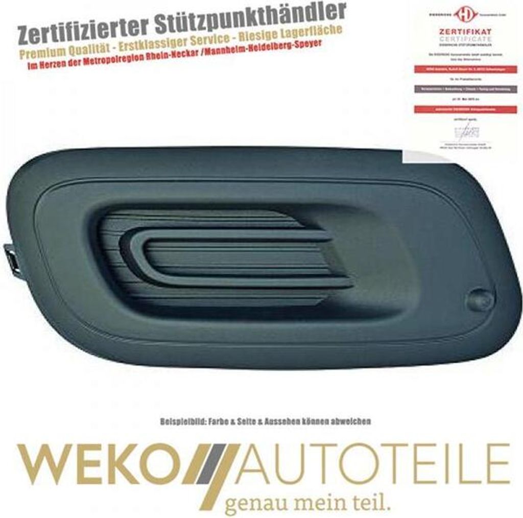 Lüftungsgitter Stoßstange links DIEDERICHS 3435047 passend für FIAT