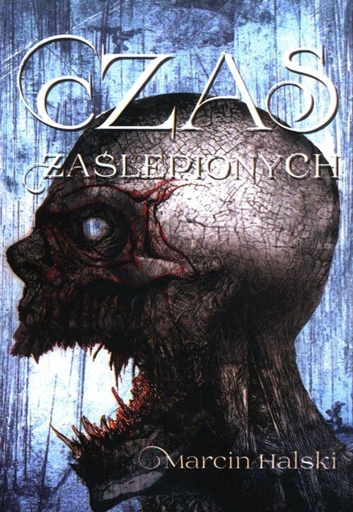 Czas zaślepionych - Marcin Halski (Buch auf Polnisch)