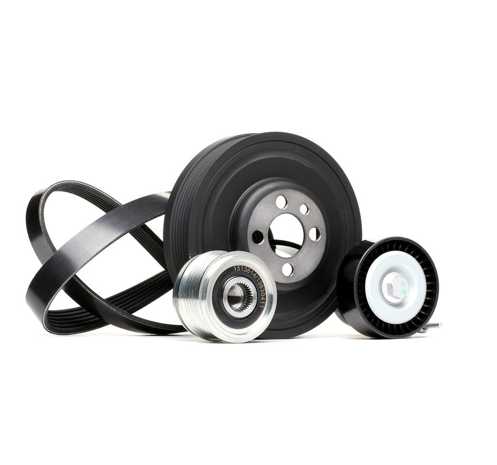 RIDEX 542R0203 Keilrippenriemensatz für VW GOLF VI (5K1)