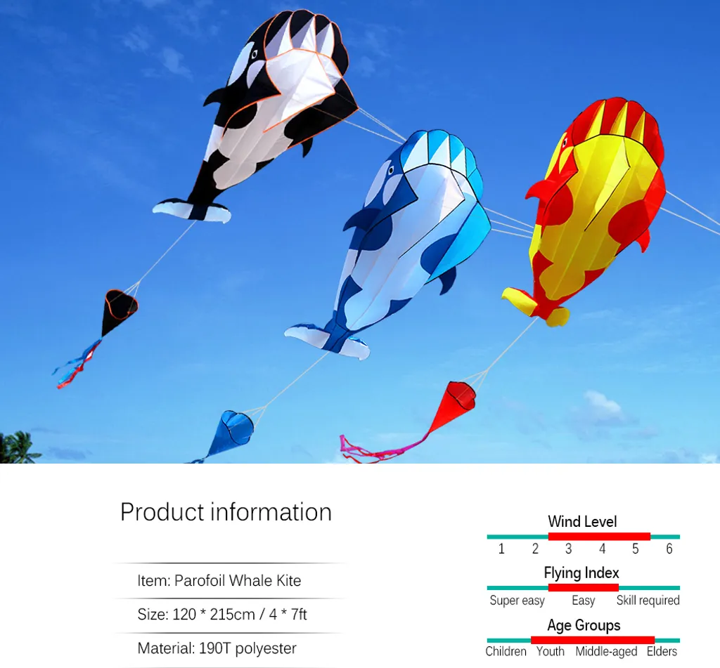 Grand Cerf-volant Souple 3D Orque pour Plage et Loisirs de Plein Air