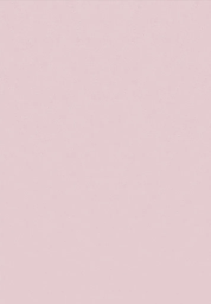 Grand tapis de passage rose 80x250 cm Sky style moderne et résistant