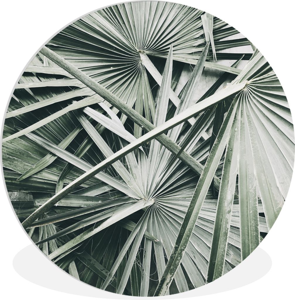 MuchoWow Rundes Wandbild - Runde Bilder Tropisch - Palmenblatt - Grün Ø 30 cm Kreis Wanddekoration Kunststoff - Wandkreis - Wandschmuck - Schla...