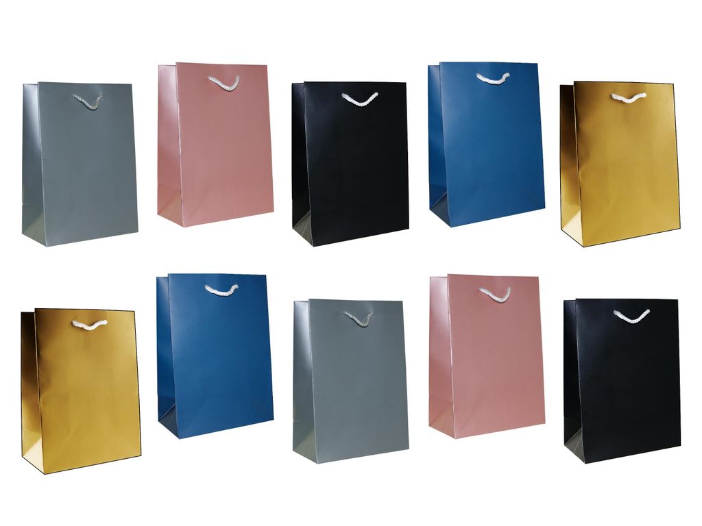 Geschenktaschen 10er Set Geschenktüten Neutral Geburtstag Kraftpapier Medium 23 cm x 18 cm x 10 cm