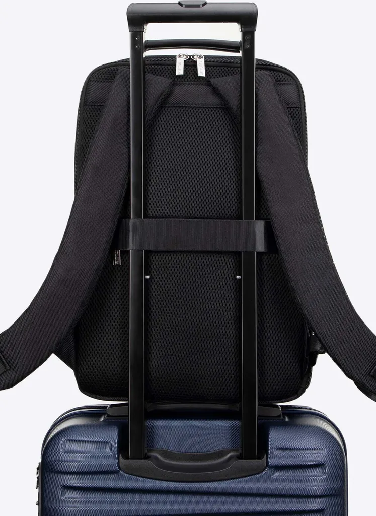 Collezione D'ufficio - 7