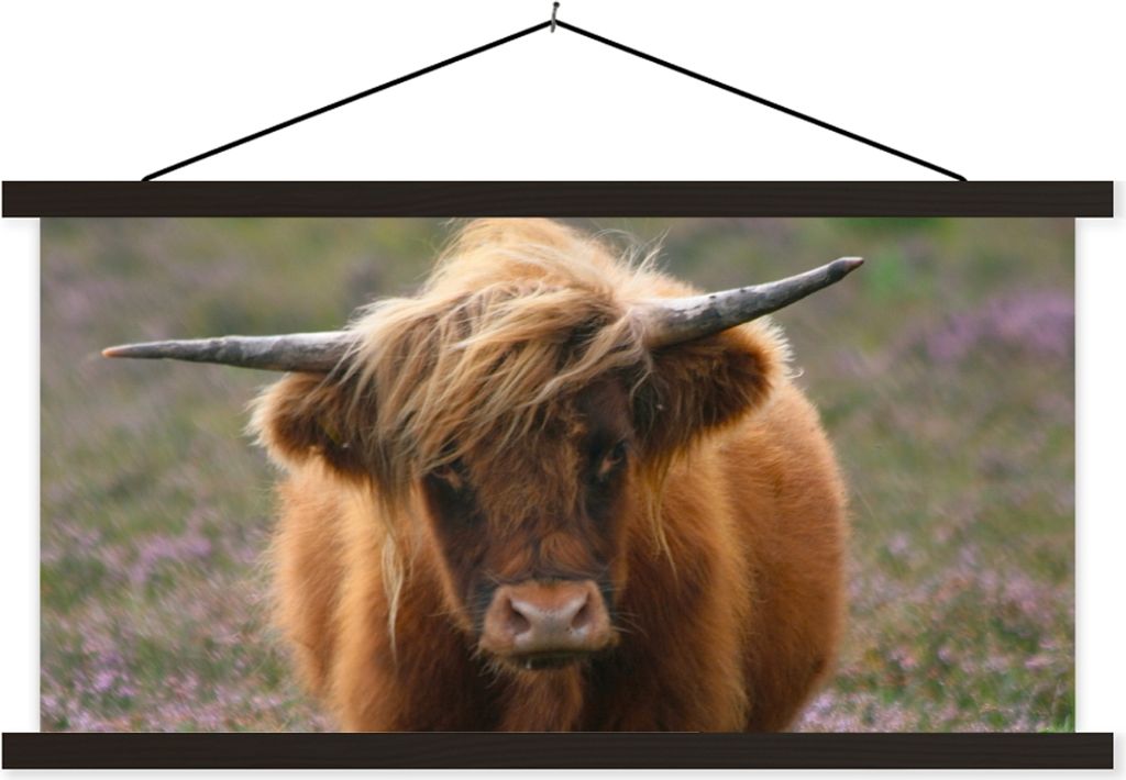 MuchoWow Textilposter Schottische Hochlandbewohner - Heidelandschaft - Tiere 90x45 cm mit schwarzem Rahmen - Klemmleisten