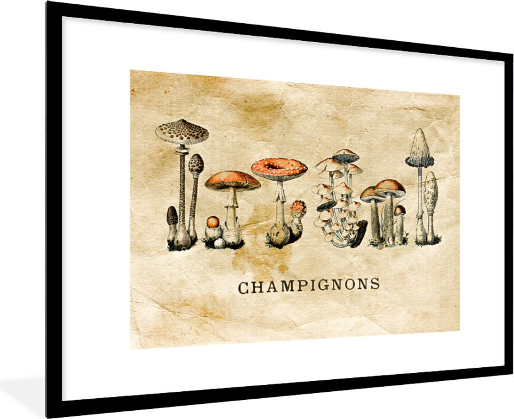 MuchoWow Gerahmtes Poster Pilz - Herbst - Vintage 90x60 cm - Poster mit Schwarzem Bilderrahmen Wandposter Rahmen Foto Bilder - Wanddekoration - F...
