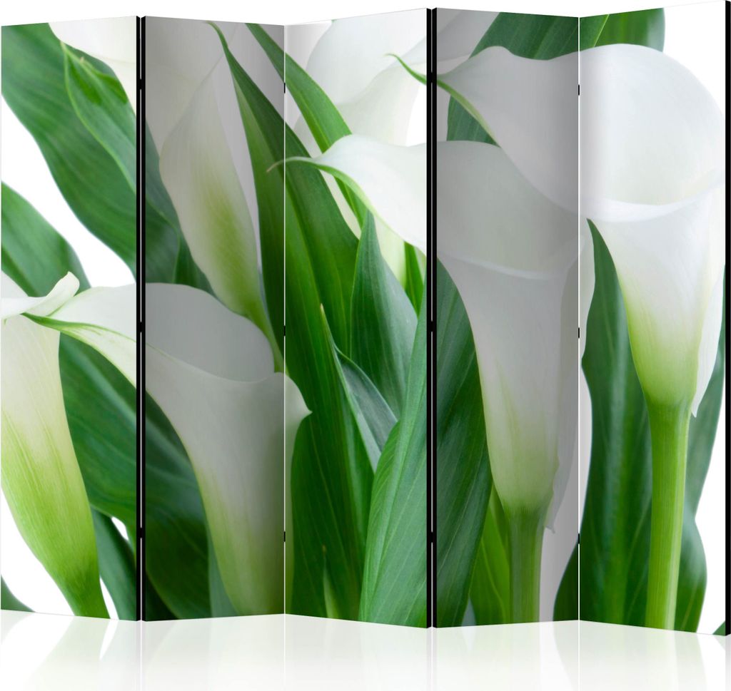 5-teiliger Doppelseitiger Vlies Paravent - bunch of flowers - callas II 225x172 cm Blumen b-C-0454-z-c