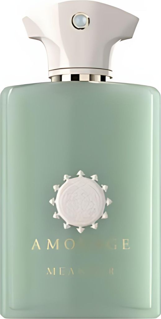 Amouage Meander Eau De Parfum 100ml Produktbild 