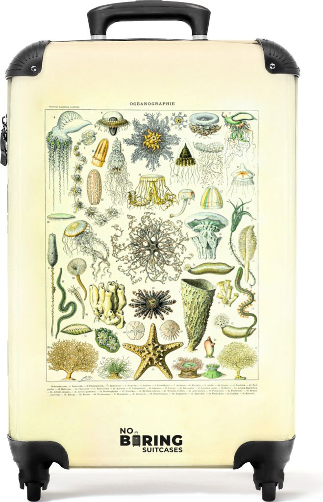 NoBoringSuitcases.com Koffer Handgepäck Trolley Rollkoffer Kleine Reisekoffer mit 4 Rollen - Natur - Illustration - Koralle - Vintage - Kunst - ...