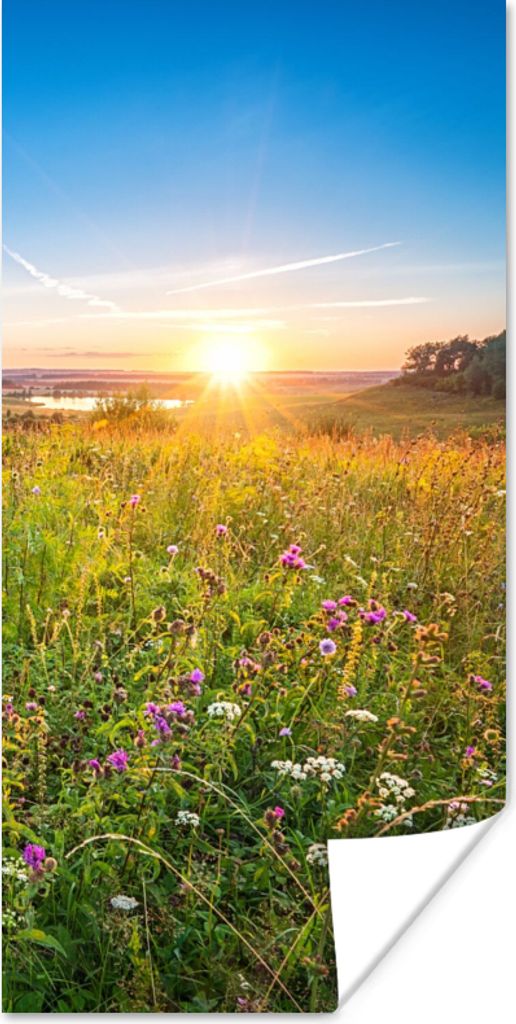 MuchoWow Poster Sonne - Gras - Blumen 80x160 cm - Kinderzimmer