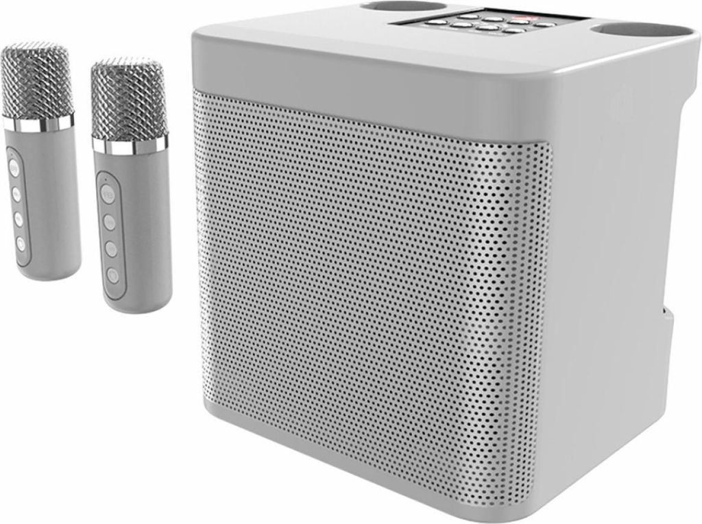 Bluetooth-Karaoke-Lautsprecher mit 2 Mikrofonen, Mini-Karaoke-System, Karaoke-Maschine,Silver