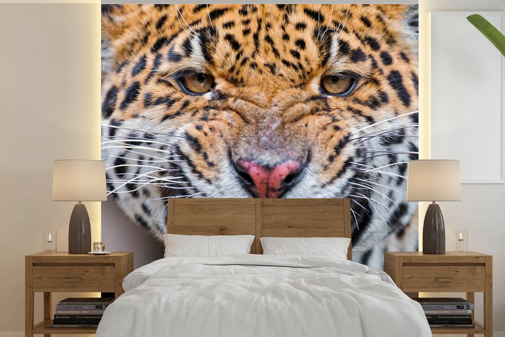 MuchoWow Fototapete für Wohnzimmer oder Schlafzimmer Wandtapete Vinyl Motivtapete Jaguar - Makro - Tier - 240x240 cm - Schlafzimmer-Tapete