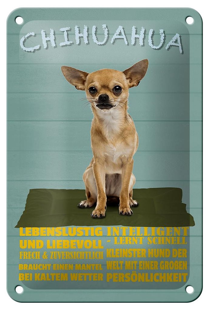Blechschild Spruch 12x18cm Chihuahua Hund lebenslustig