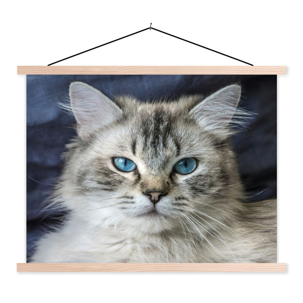 MuchoWow Textilposter Porträt einer Ragdoll-Katze in Nahaufnahme 150x113 cm mit holzfarbenen Rahmen - Poster