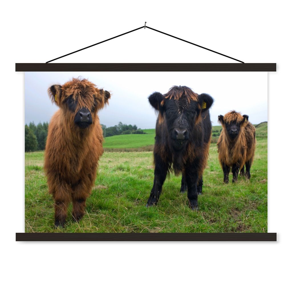 MuchoWow Textilposter Schottische Highlander - Kühe - Natur - Grün - Gras 90x60 cm mit schwarzem Rahmen - Aufhängungssatz