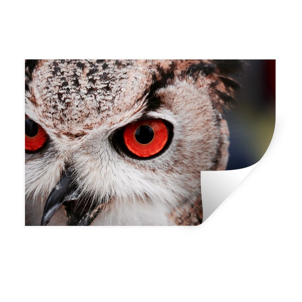 MuchoWow Wandtattoo Wandsticker Wandaufkleber Vogel - Eule - Waldkauz 30x20 cm Selbstklebend und Repositionierbar - Wierderverwendbar - Selbstkle...