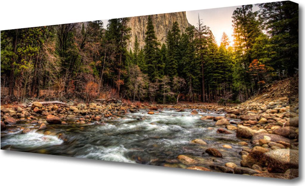 Tulup Leinwand-Bilder 125x50 Wandbild Canvas Kunstdruck Wald See Natur