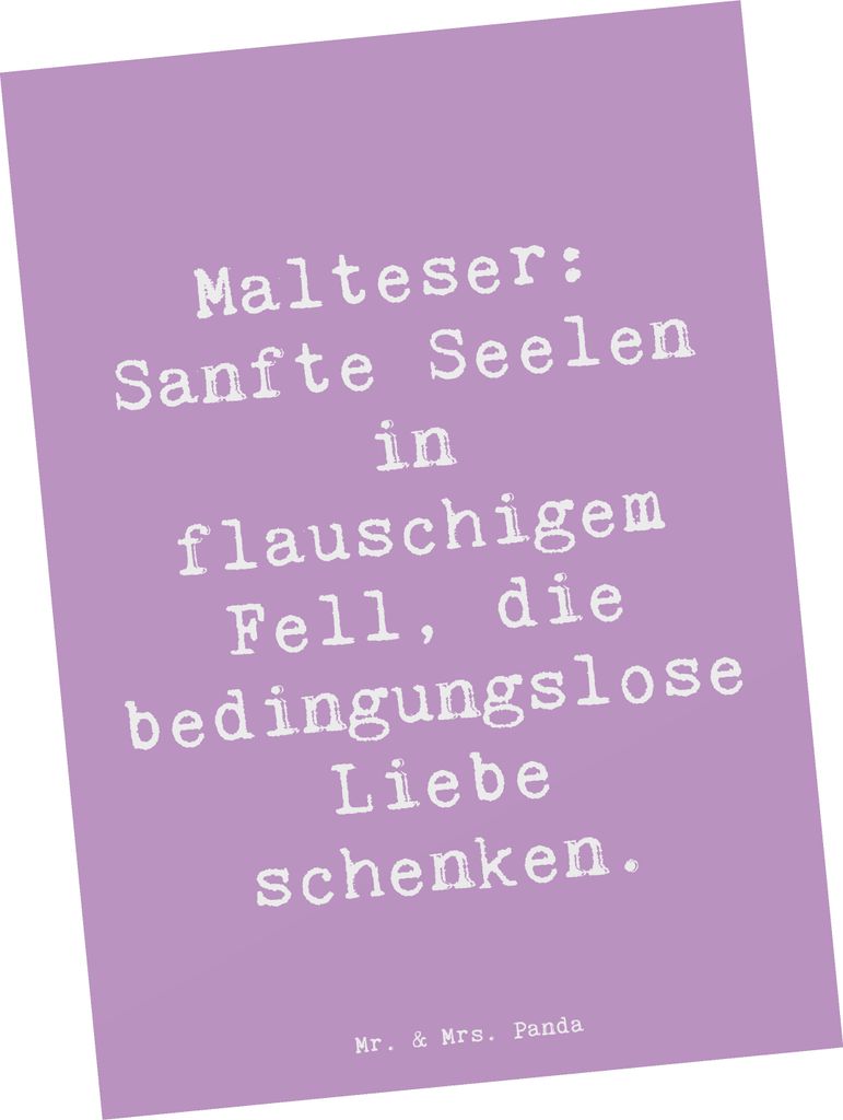 Mr. & Mrs. Panda Ansichtskarte Spruch Malteser Liebe - Lavendeltraum - Geschenk, Hunderasse, flauschiges Fell, Kunstkarten, Hundeliebhaber, Postkar...