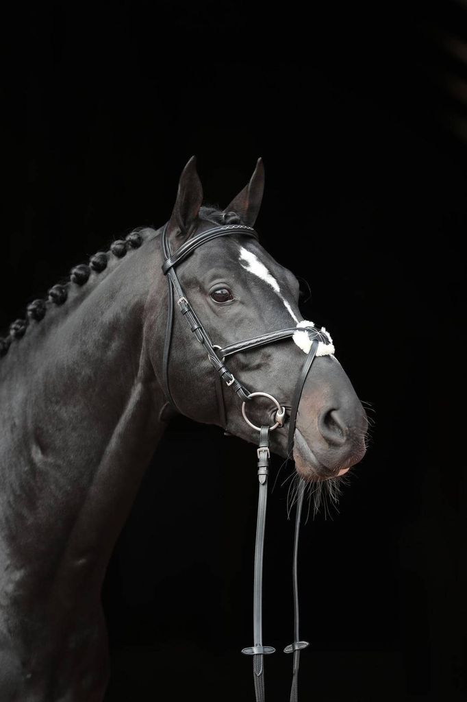 Covalliero Zaumzeug Cancun Pony Schwarz Produktbild 10
