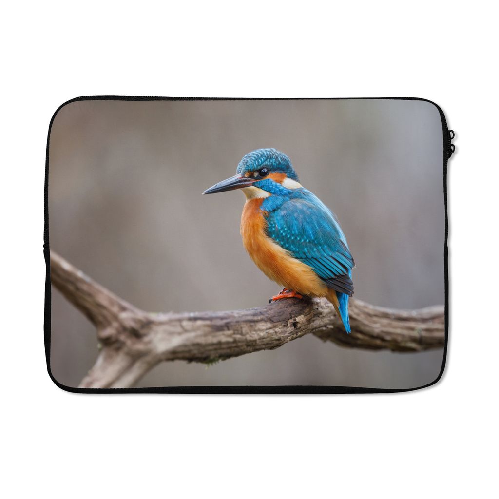 MuchoWow Laptop Hülle 14 ZollEisvogel - Zweige - Porträt Laptoptasche - Laptoptasche - Stoßsicher - Schutzhaube