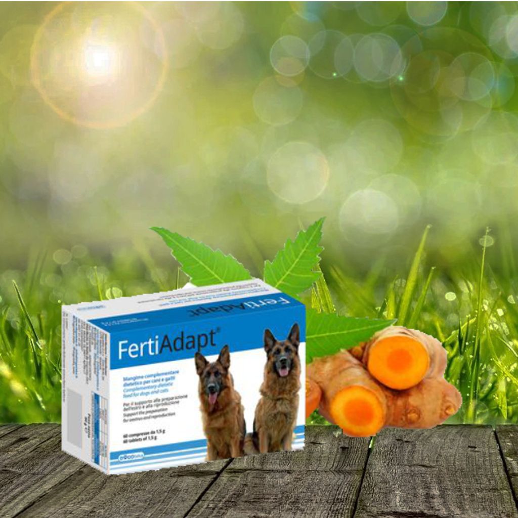 Dogoteka - FertiAdapt - 60 Stück Vorbereitung der Läufigkeit
