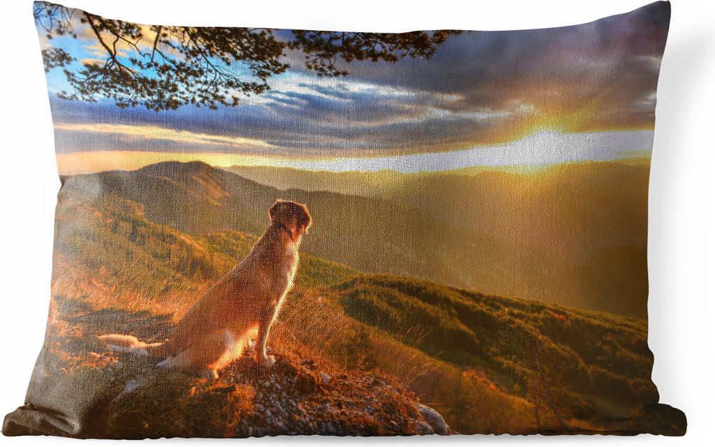 MuchoWow Outdoor Kissen - Ein Golden Retriever beobachtet den Sonnenuntergang - 60x40 cm - Wetterfest - Lounge Kissen - Zierkissen - Kissen für ...