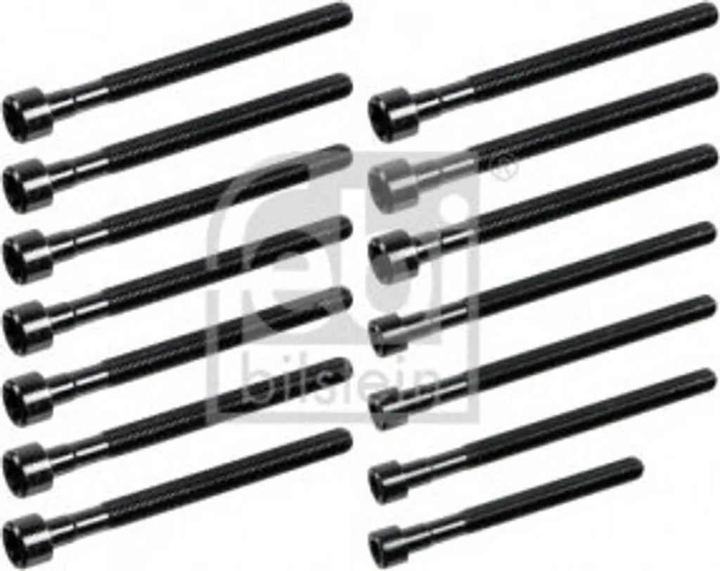 Kit de vis de culasse FEBI BILSTEIN 178284 pour BMW Série 3 5 X5 Z4