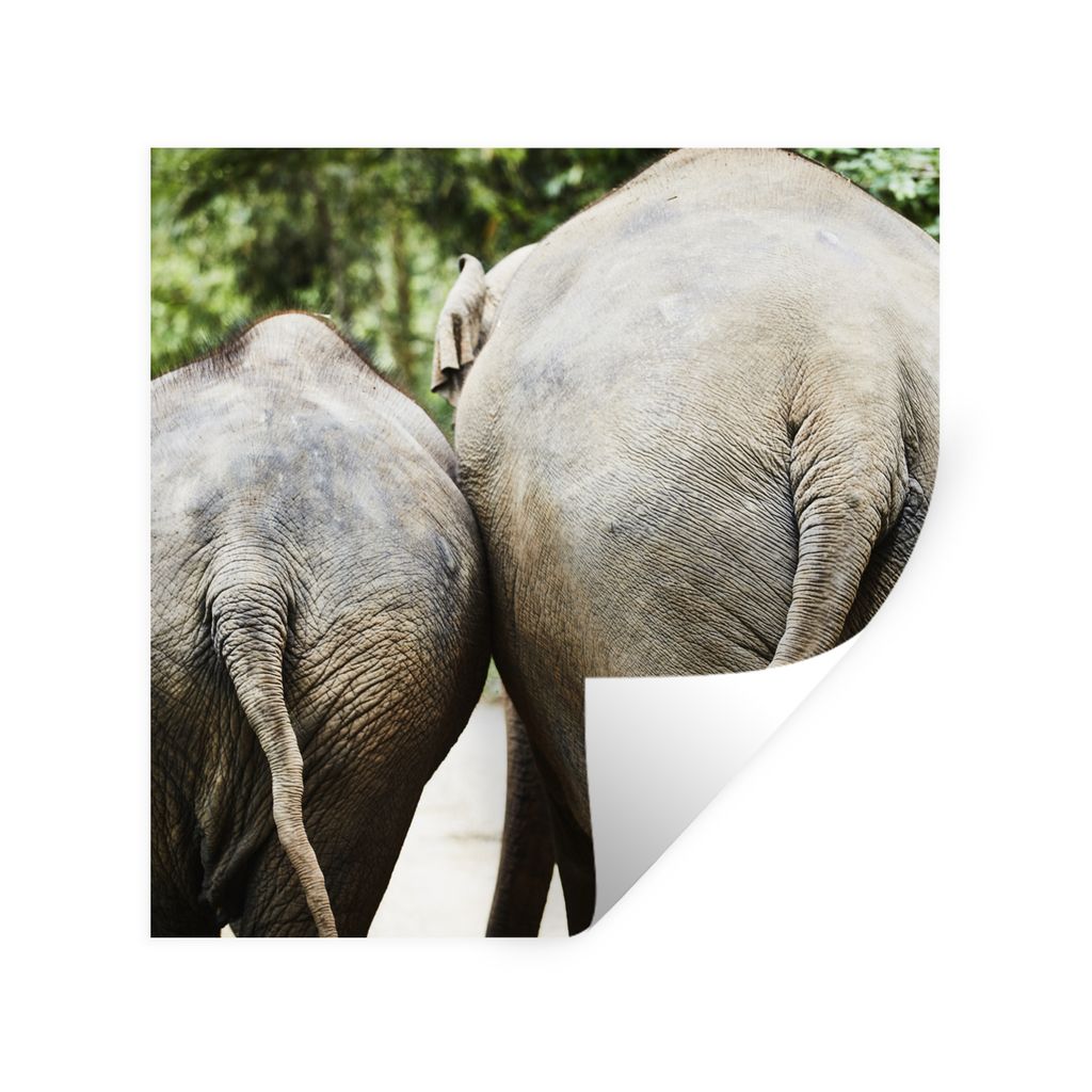 MuchoWow Wandtattoo Wandsticker Wandaufkleber Elefant - Tiere - Grau - Natur 50x50 cm Selbstklebend und Repositionierbar - Selbstklebend - Fotota...